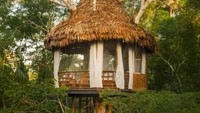 Nikmati sensasi menginap di hutan hujan Amazon di Peru. Treehouse Lodge Resort terletak di hulu Amazon, Peru. Untuk menuju hotel ini wisatawan harus melalui perjalanan menggunakan perahu selama satu jam dari Iquitos, setelah itu wisatawan pun harus mendaki 34 hingga 67 kaki ke salah satu dari delapan rumah pohon yang melingkar di puncak pohon. Namun, semua perjuangan itu akan terbayar dengan suasana alam yang masih asri dengan berbagai suara kicauan burung dan satwa lainnya di hutan hujan Amazon. Istimewa/Pinterest.