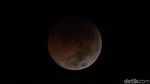 Merekam Peristiwa Gerhana Bulan Total