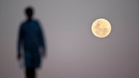 Penampakan gerhana bulan total di Australia. Brook Mitchell/Getty Images.