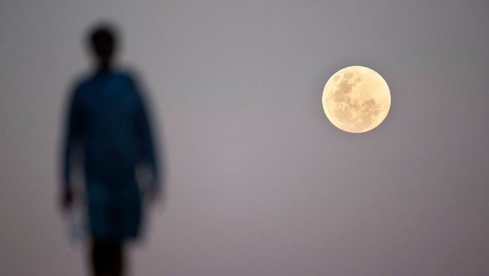 Tak ada habisnya membahas keindahan fenomena gerhana bulan total yang terjadi dinihari tadi. Berikut deretan foto gerhana bulan yang menakjubkan.