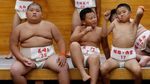 Ketika Anak-anak di Jepang ikutan Turnamen Sumo