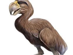 13 Hewan Purba Mengerikan yang Untungnya Telah Punah