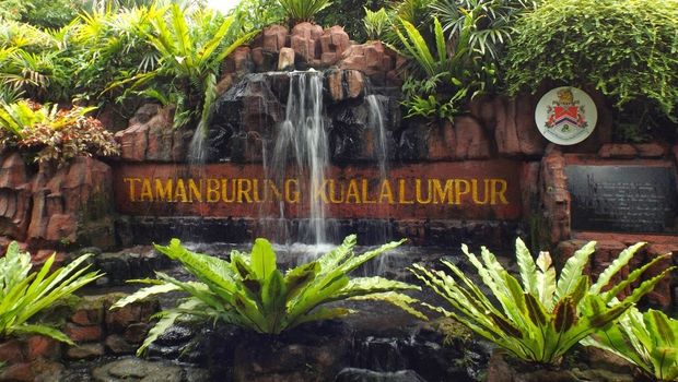 Business Trip ke Kuala Lumpur? Jangan Lupa Lihat 3.000 Burung