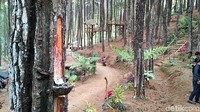 Tiket masuknyapun masih murah. Per orang tarifnya Rp 3.000 ditambah parkir. Untuk sepeda motor tarif parkir sebesar Rp 2.000 sedangkan mobil Rp 5.000. (Erliana Riady/detikTravel)