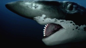 Helicoprion adalah hewan predator mirip hiu yang giginya tumbuh dalam pola yang menyerupai roda yang disebut tooth whorl. Predator yang hidup di zaman Permian-Triassic ini disebut sebagai buzzsaw killer oleh ilmuwan. (Foto: Animal Planet)