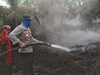4 Hektare Lahan Sawit dan Karet Milik Warga di Jambi Terbakar
