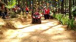 Foto: Hutan Pinus Penghilang Stress di Blitar