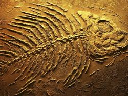 13 Hewan Purba Mengerikan yang Untungnya Telah Punah