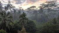 Keindahan alam Bali tampaknya telah membuat pelantun All of Me tersebut jatuh hati. Foto: dok. Instagram John Legend