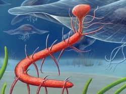 13 Hewan Purba Mengerikan yang Untungnya Telah Punah