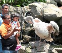 Business Trip ke Kuala Lumpur? Jangan Lupa Lihat 3.000 Burung