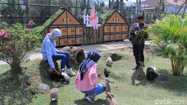 Happy farm Ciwidey