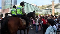 Kuda berwarna cokelat itu terlihat gagah dan tampak terawat. Rambut pada kepala dan buntut kudanya pun terlihat indah.
