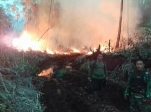 4 Hektare Lahan Sawit dan Karet Milik Warga di Jambi Terbakar
