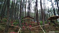 Hutan pinus Gogoniti, Blitar menyuguhkan udara yang segar dan keindahan alam. Udara 18 derajat celcius, masih bisa Anda nikmati di destinasi wisata dengan ketinggian 670 mdpl ini. (Erliana Riady/detikTravel)