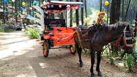 Lokasinya juga mudah dijangkau. Berjarak 45 km timur pusat Kota Blitar. Anda bisa menuju kesana dengan naik kendaraan pribadi atau angkutan umum. Tukang ojek di Terminal Kesamben, siap mengantar dengan tarif Rp 25 ribu sekali jalan. (Erliana Riady/detikTravel)