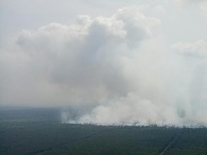 Kebakaran Lahan di Sumsel, 5 Heli Water Bombing Diterjunkan