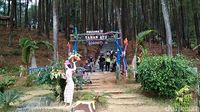 Hutan Pinus Blitar Yang Bikin Tenang Dan Damai Hutan Pinus Blitar Yang Bikin Tenang Dan Damai
