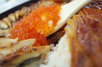 Begini Nih Tampilan Unagi Sushi Cake Seharga Rp 1,2 Juta