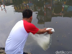 Ini Cara Kerja Serbuk Penghilang Bau yang Ditebar di Kali Item