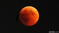 bulan berwarna merah meyala.