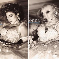 Dalam wawancara dengan Bored Panda, Vincent Flouret mengungkapkan anjingnya senang bermain-main. Dan pemotretan yang dilakukannya bersama Max bagi anjingnya adalah ajang bersenang-senang. Max begitu menikmati sesi foto bersama Vincent. Potret ini contohnnya saat sang anjing meniru gaya Madonna di sampul album Like A Virgin. Foto: Instagram max_et_vincent