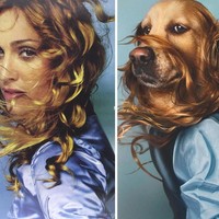 Seperti inilah jadinya jika seekor anjing mengikuti gaya ikonik Madonna. Adalah anjing berusia enam tahun bernama Max yang mengikuti pose Madonna di sampul album sang diva Ray of Light. Bulu cokelatnya dibuat melayang persis seperti gaya rambut Madonna di sampul albumnya. Foto: Instagram max_et_vincent