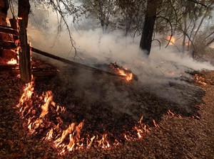 Kebakaran Hutan di California Tewaskan 6 Orang Termasuk 2 Bocah