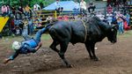 Nekat! Warga vs Banteng di Festival Santo Domingo de Guzman
