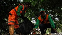 Sampah-sampah tersebut kemudian dikumpulkan.