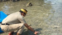 Owo dan Owi pun dilepaskan Sandi. Lagi-lagi Sandi kembali melontarkan candaan. Wah Owo paling depan surveinya, kenceng ini. Oh balap-balapan, eh beda tipis eh ujung-ujungnya berteman, ucap Sandi. (Foto: Samsudhuha Wildansyah/detikcom)