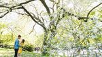 Jelang Nikah, Intip Prewedding Tasya Kamila - Randi di New York