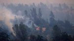 Ganasnya Kebakaran Hutan di California yang Tewaskan 6 Orang