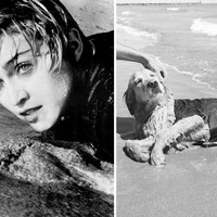 Vincent mengungkapkan semua kostum yang dipakai Max pada seri foto Madonna ini dibuatnya sendiri. Dan dia mengaku butuh delapan bulan untuk melatih Max melakukan pose serupa Madonna. Foto: Instagram max_et_vincent