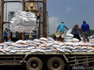 Stok Dinilai Cukup, Pemerintah Diminta Tidak Impor Beras