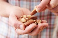 Sering Ngemil Kacang Bisa Cegah Penyakit Alzheimer dan Jantung