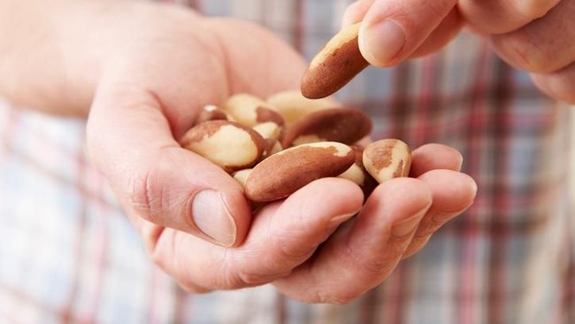 Ini Dia 5 Makanan Tinggi Lemak, Tapi Sebenarnya Super Sehat Lho!
