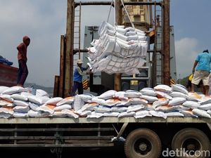 Soal Impor Beras, Wakil Ketua Komisi VI DPR Gde Singgung Tupoksi Bulog