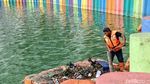 Melihat Aksi Petugas Oranye Bersihkan Danau Sunter