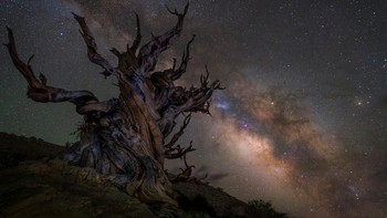 Foto Milky Way karya Jez Huches asal Inggris. Foto: National Maritime Museum