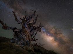 Terpana Keindahan Alam Semesta