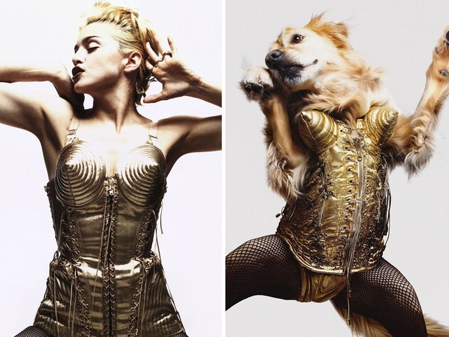 Madonna sendiri pun sudah mengunggah aksi Max meniru penampilannya ini. Dia memamerkan di Instagram foto Max yang menirukan posenya di sampul album Like A Virgin. Foto: Instagram max_et_vincent