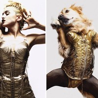 Madonna sendiri pun sudah mengunggah aksi Max meniru penampilannya ini. Dia memamerkan di Instagram foto Max yang menirukan posenya di sampul album Like A Virgin. Foto: Instagram max_et_vincent