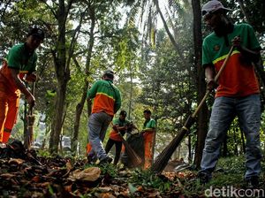 Aksi Bersih-bersih Kawasan GBK Hari Ini