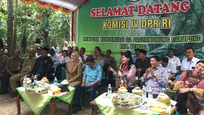 KLHK Libatkan Masyarakat Jaga Kelestarian CA Pagerwunung Darupono