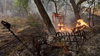 Otoritas setempat menyebut kebakaran ini dipicu oleh kegagalan sebuah mesin kendaraan. Kepala Divisi Departemen Kehutanan dan Perlindungan Kebakaran (Cal Fire), Chris Anthony, menyebut kobaran api ini tidak bisa diprediksi. Foto: REUTERS/Bob Strong