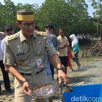 Kalau menurut situs resminya, jam tangan ini dijual seharga US$ 300 atau Rp 4,3 juta. Rangeman dilengkapi fitur antiair, sensor untuk tekanan, temperatur, serta penunjuk arah yang dapat diatur dengan mudah. (Foto: Samsudhuha Wildansyah/detikcom)