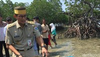 Sebelum meninggalkan Pulau Sebira, pulau paling utara di jajaran Kepulauan Seribu, Wakil Gubernur DKI Jakarta Sandiaga Uno sempat melepaskan penyu.  (Foto: Samsudhuha Wildansyah/detikcom)