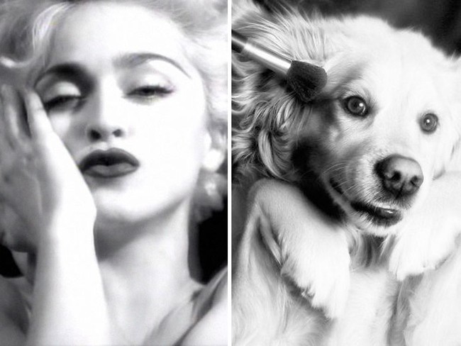 Nantinya semua karya-karya Vincent yang menampilkan Max bergaya seperti Madonna ini dipamerkan di pameran di Paris tersebut. Dan hasil penjualan foto ini akan disumbangkan ke yayasan amal Madonna, Raising Malawi. Foto: Instagram max_et_vincent