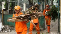 Ranting pohon yang rimbun ikut ditebang untuk kenyamanan.